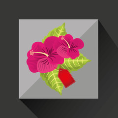 floral design shop fuchsia lily icon vector illustration eps 10