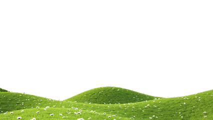 Green field. 3D rendering