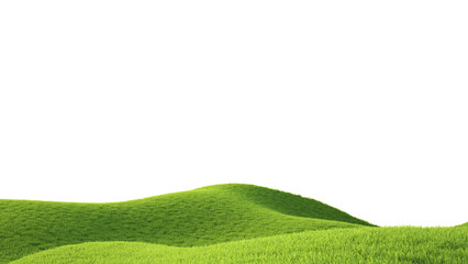 Green field. 3D rendering
