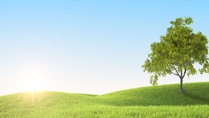 Fototapeta premium Green field. 3D rendering