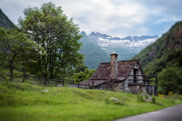 Fototapeta na wymiar Cute Little House with a Beautiful Landscape