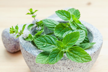 Closeup fresh peppermint leaves in the white mortar on bamboo cu