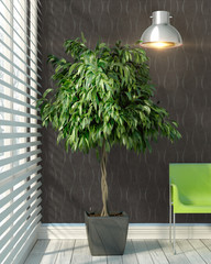 Modern bright interior . 3D rendering