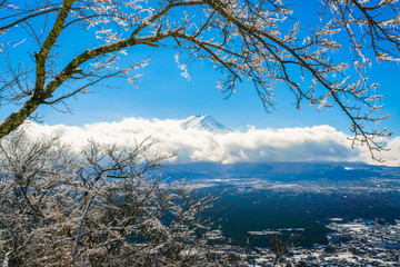 Mountain Fuji with ice coating on the trees