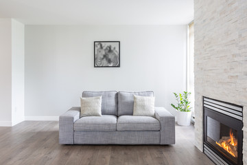 Bright and clean interior design of a luxury living room with hardwood floors, fireplace and sofa.