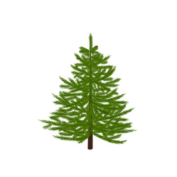 Green fir tree. Christmas symbol. New Year. On a white background isolated illustration