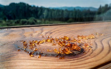 pine pitch on a board of a wooden window