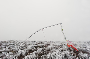Frozen vane. Indicator of wind direction and flow forces at moun