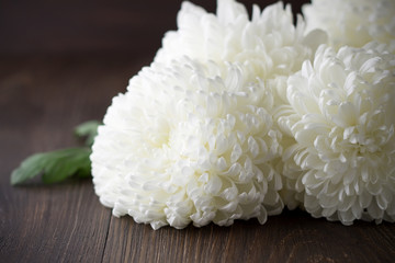 White chrysanthemums with leaf on a dark wooden background.