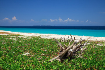 Summer beach scene and bluesky