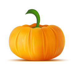 Happy thanksgiving day greeting card. Holiday vector background.