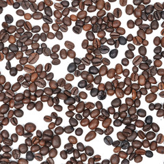 Coffee seed on white background, texture and pattern