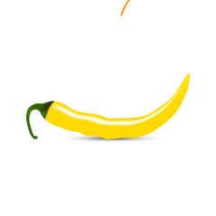 Realistic Hot yellow pepper vector illustration on white background