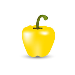 Realistic yellow pepper vector illustration on white background