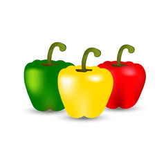 Realistic green, yellow and red pepper vector illustration on white background