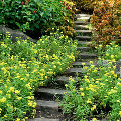 Rock stair in flower garden