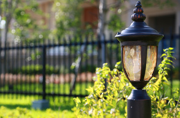 Fototapeta premium Green and a fence and streetlight