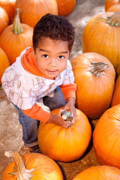 Little Boy In A Pumpkin Patch.