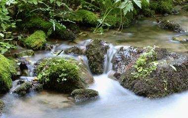Water, rocks and a lot of moss