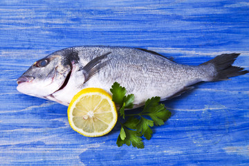 Fish, gilthead with parsley and lemon on blue wooden background