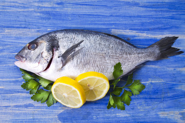 Fish, gilthead with parsley and lemon on blue wooden background