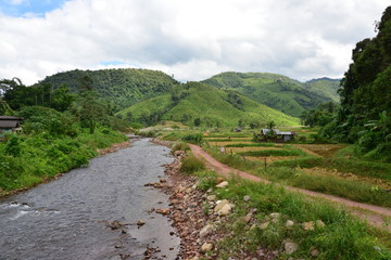 Fototapeta na wymiar River stream at Nan province, Thailand
