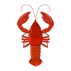 Crayfish on white background