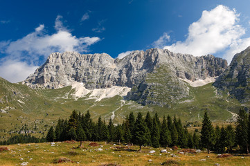 Fototapeta na wymiar Plateau of Montasio with green pastures in Julian Alps (Jof di Montasio). Friuli, Italy
