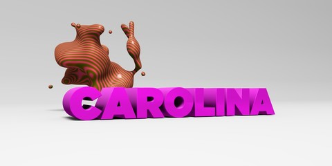 CAROLINA - 3D rendered colorful headline illustration.  Can be used for an online banner ad or a print postcard.