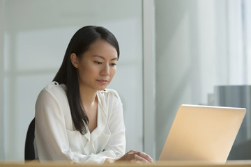 Singapore, Mid adult woman using laptop