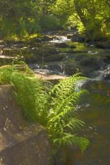 waterfall river cascade brecon beacons national park wales
