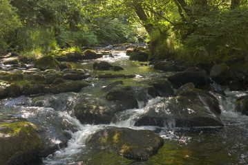 Fototapeta na wymiar waterfall river cascade brecon beacons national park wales