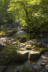 Obraz premium waterfall river cascade brecon beacons national park wales
