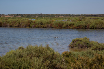 Vogelschutzgebiet Mallorca 
