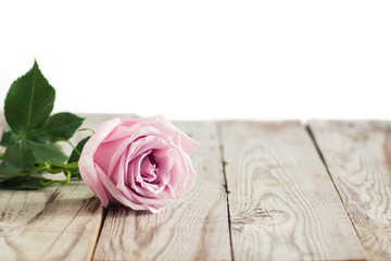 Blurred pink roses on wooden background
