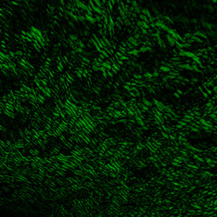 Obraz premium abstract green background texture