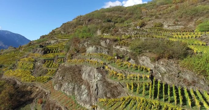 Sorvolo terrazzamenti e vigneti in Valtellina - Provincia di Sondrio