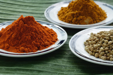 Still life of curry and masala powder on a banana leaf