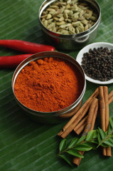 Still life of masala powder, seeds, cinnamon sticks and red chillies