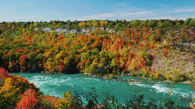 Niagara River flows along the high rocky coast covered autumn forest. Scenic fall day. The popular tourist destination of New York State. Pan shot