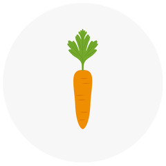 Carrot icon in trendy flat style isolated on color background. Vegetables symbol for your design, logo, UI. Vector illustration, EPS10.