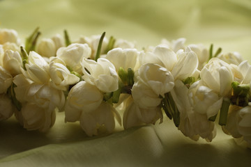 jasmine flower garland closeup