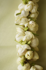 jasmine flower garland closeup