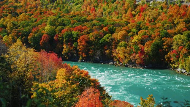 Niagara River flows along the high rocky coast covered autumn forest. Scenic fall day. The popular tourist destination of New York State