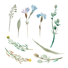 set of watercolor blue flowers and leaves on white background
