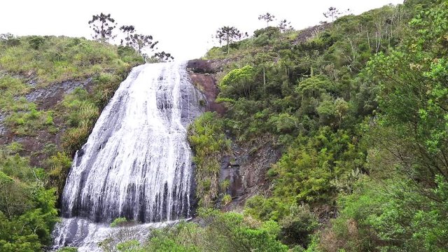 Cachoeira, rochedo e floresta.