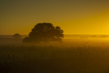 Pampas Landscape, La Pampa, Argentina