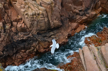 Côte de granit rose