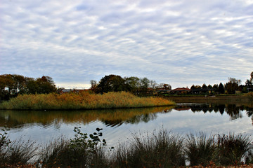 colorful autumn - scene near the lake in Denmark