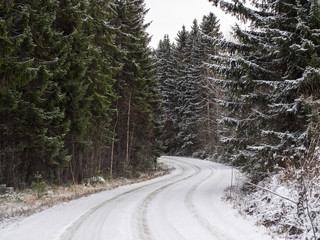 snowy road in the winter pine tree finland forest 